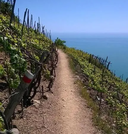 Διαμέρισμα Creuza De Cinque Terre